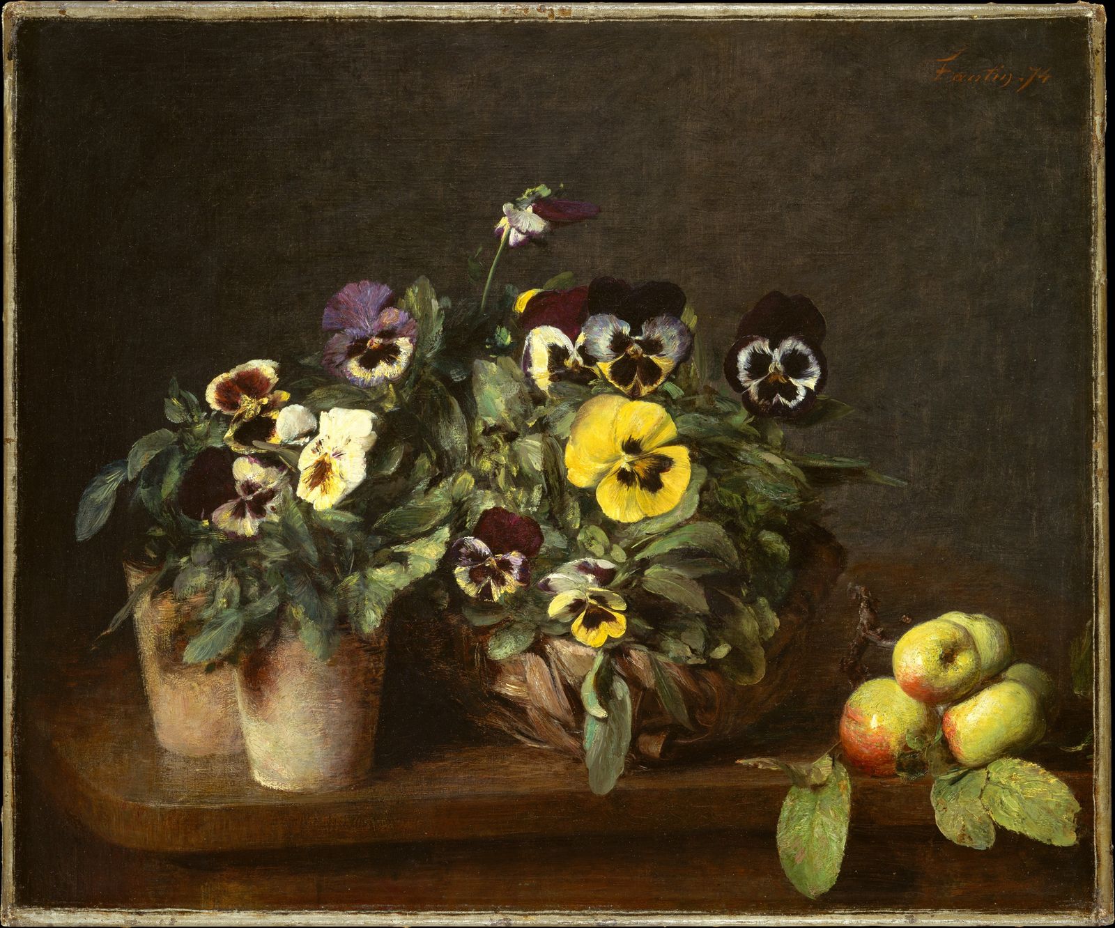 Small Wonder: the Wild Pansy