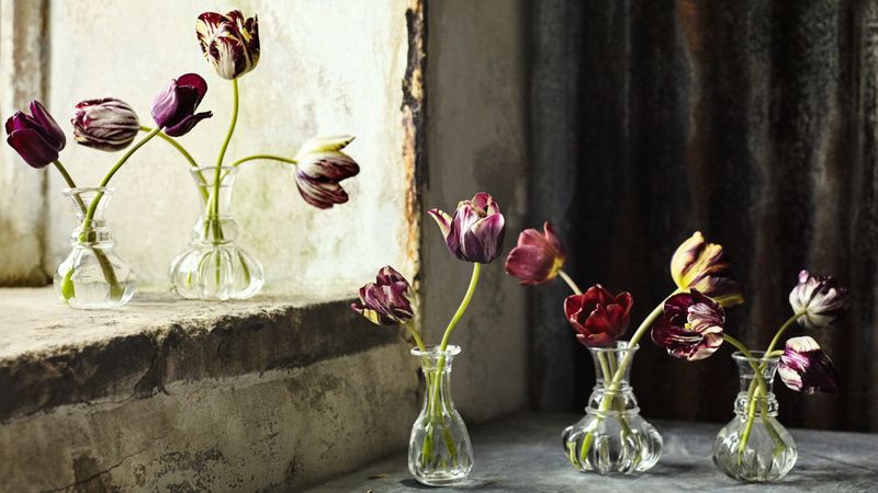 Tulipmania comes to Spitalfields
