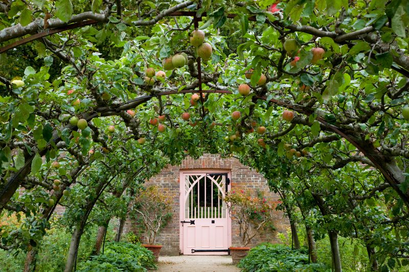 Beauty and function entwine in King Charles’ kitchen garden