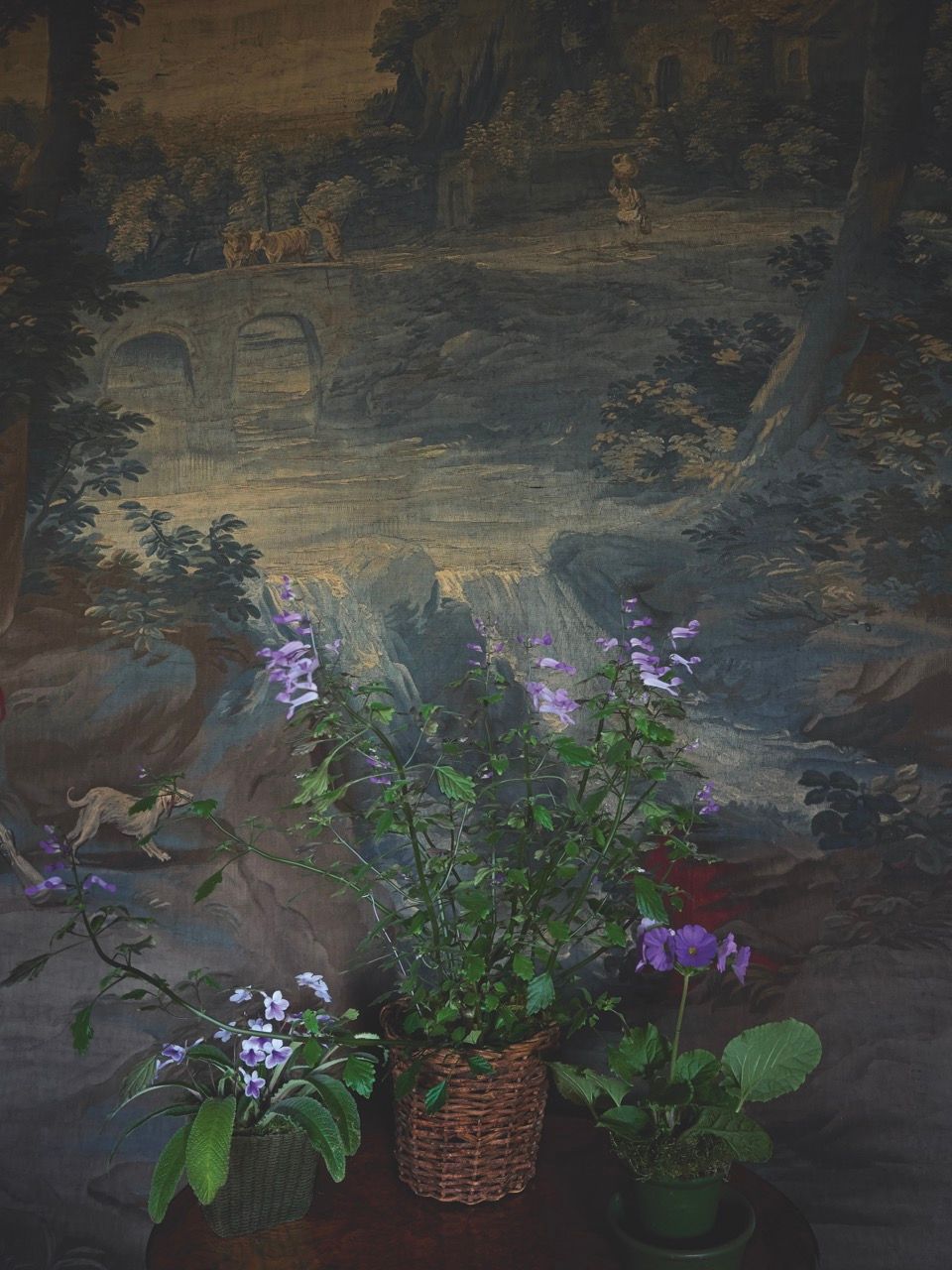 Image may contain Art Painting Flower Plant Herbal Herbs Person and Potted Plant