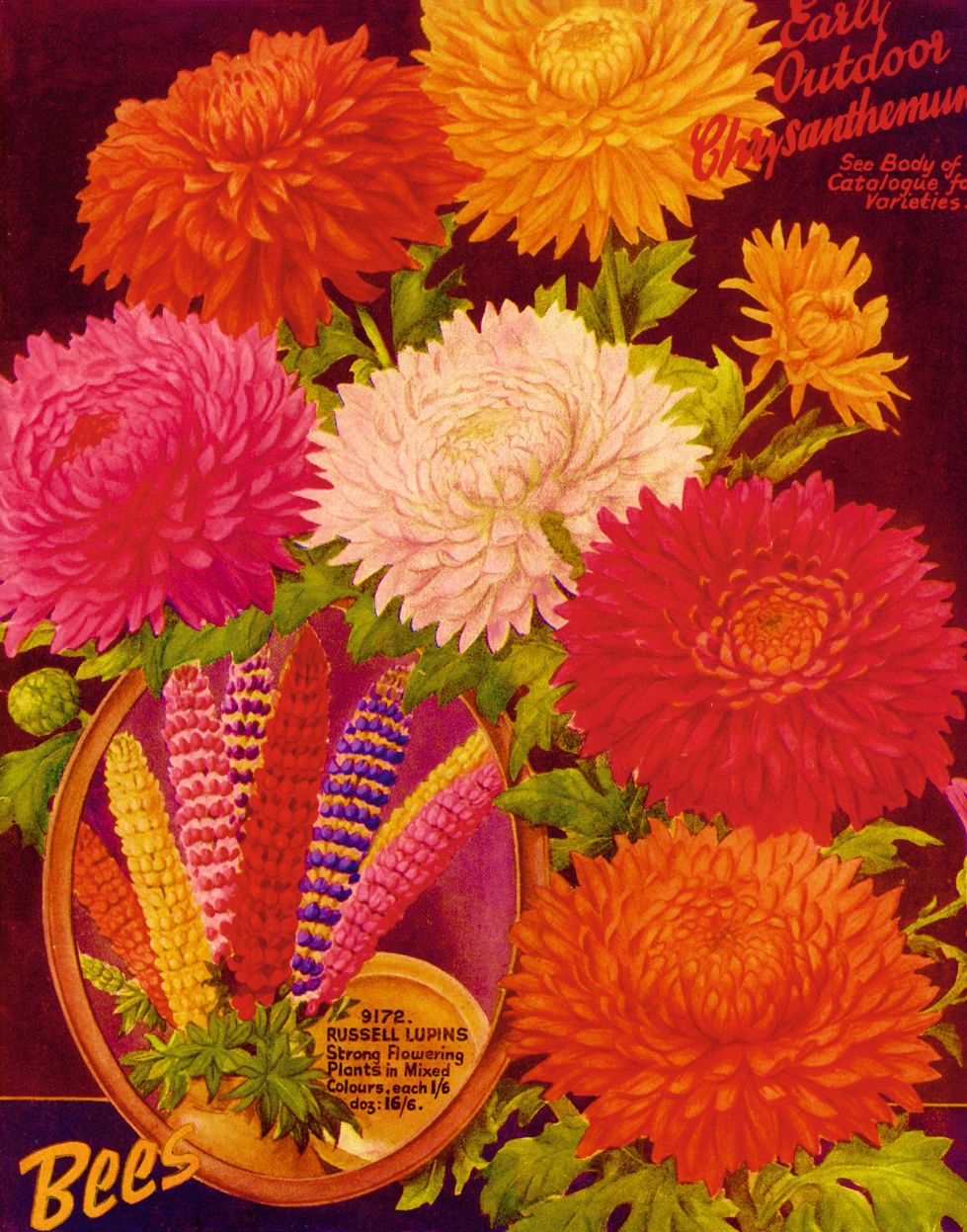 A colourful Bees catalogue with flowers from 1947