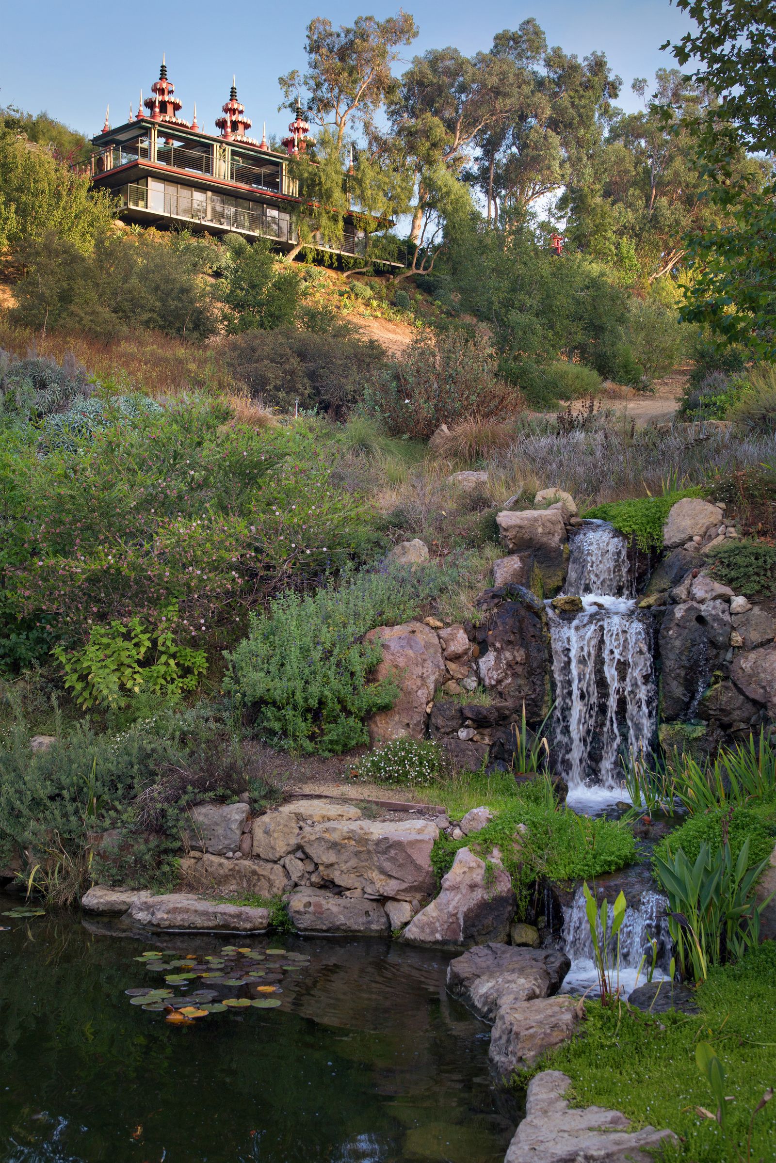 Image may contain Nature Outdoors Pond Water Plant Vegetation Rock Scenery Stream and Waterfall