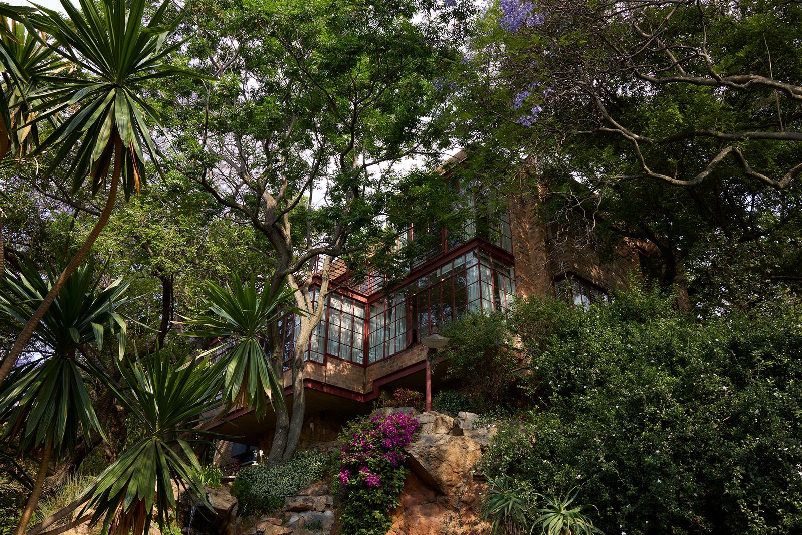 Image may contain Architecture Building Cottage House Housing Plant Vegetation Land Nature Outdoors and Rainforest