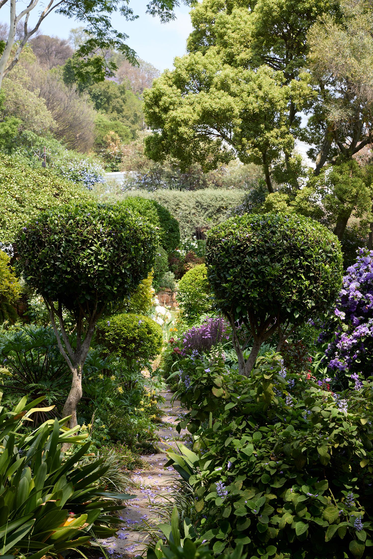 Image may contain Garden Nature Outdoors Plant Vegetation Herbal Herbs Tree Arbour Grass Park Land and Woodland