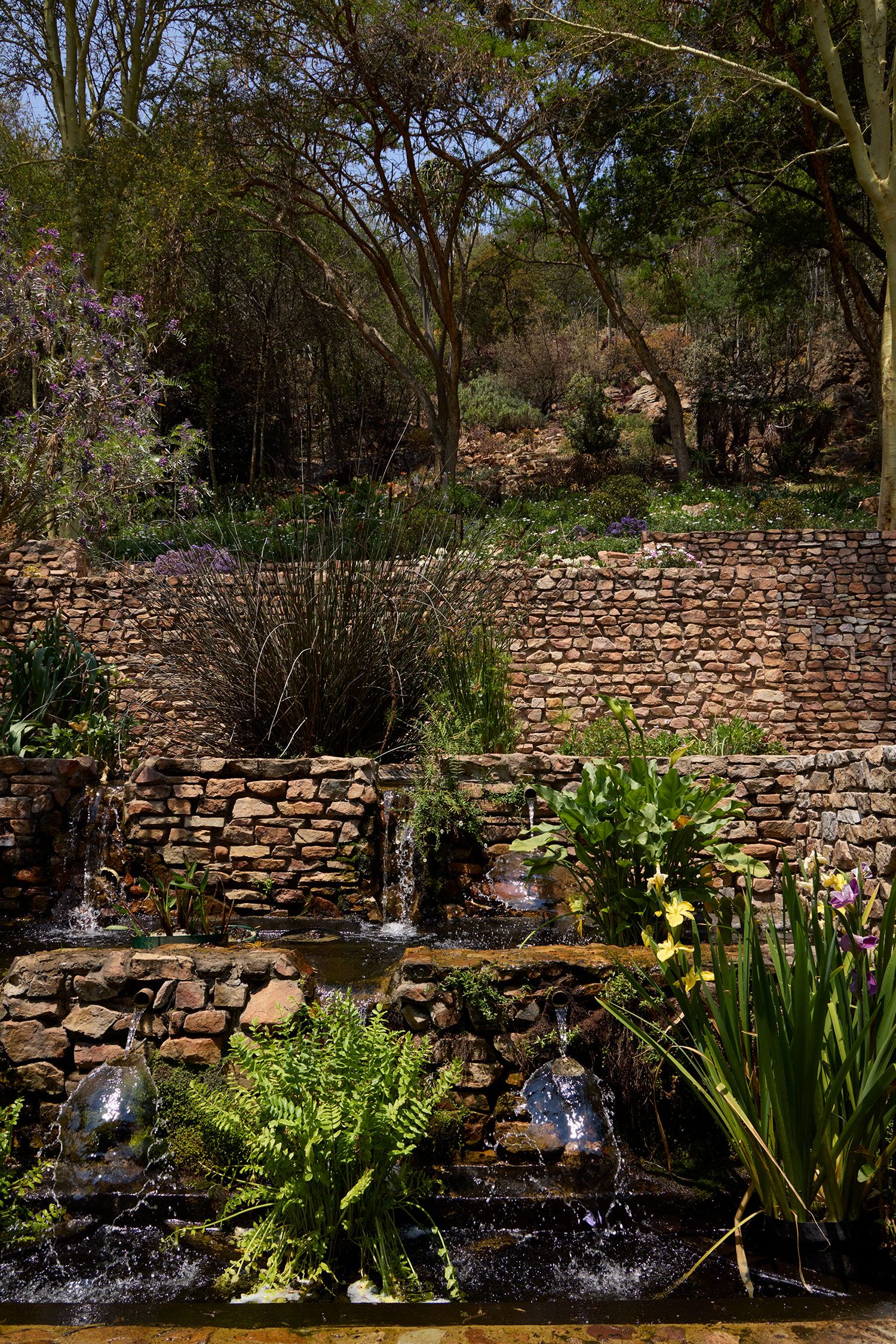 Image may contain Nature Outdoors Pond Water Plant Vegetation Land Architecture Building Wall and Garden