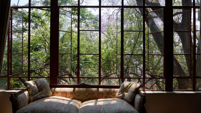 Jacarandas in Jo’burg: artist William Kentridge’s joyously variegated garden