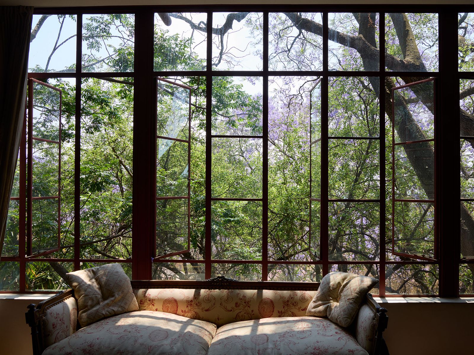 Jacarandas in Jo’burg: artist William Kentridge’s joyously variegated garden