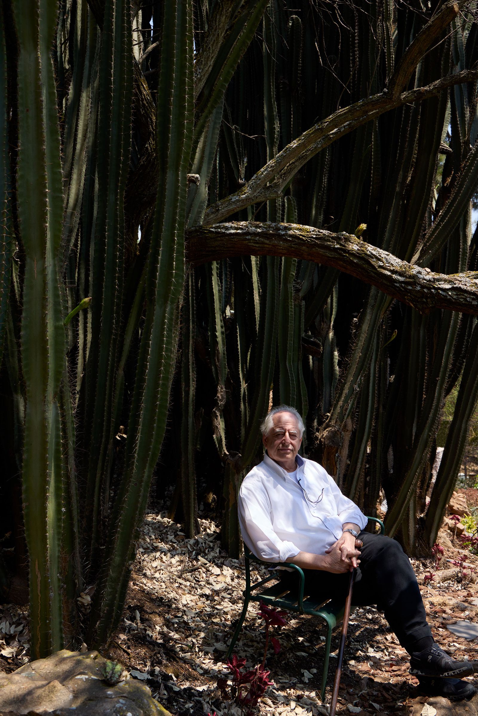 Image may contain William Kentridge Person Sitting Face Head Photography Portrait Plant Tree Adult and Clothing