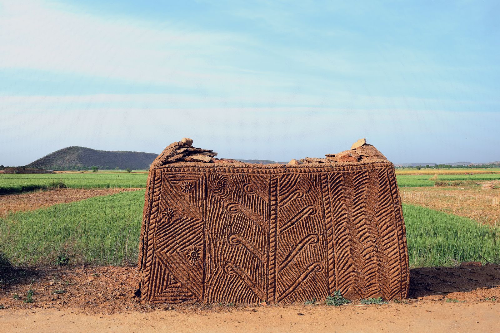 Image may contain Soil Nature Outdoors Brick Grass Plant Countryside Field Rural Agriculture Wood and Tree