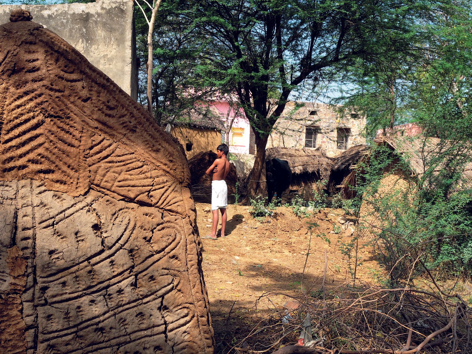These decorated cow-dung huts in Rajasthan are finely crafted masterpieces