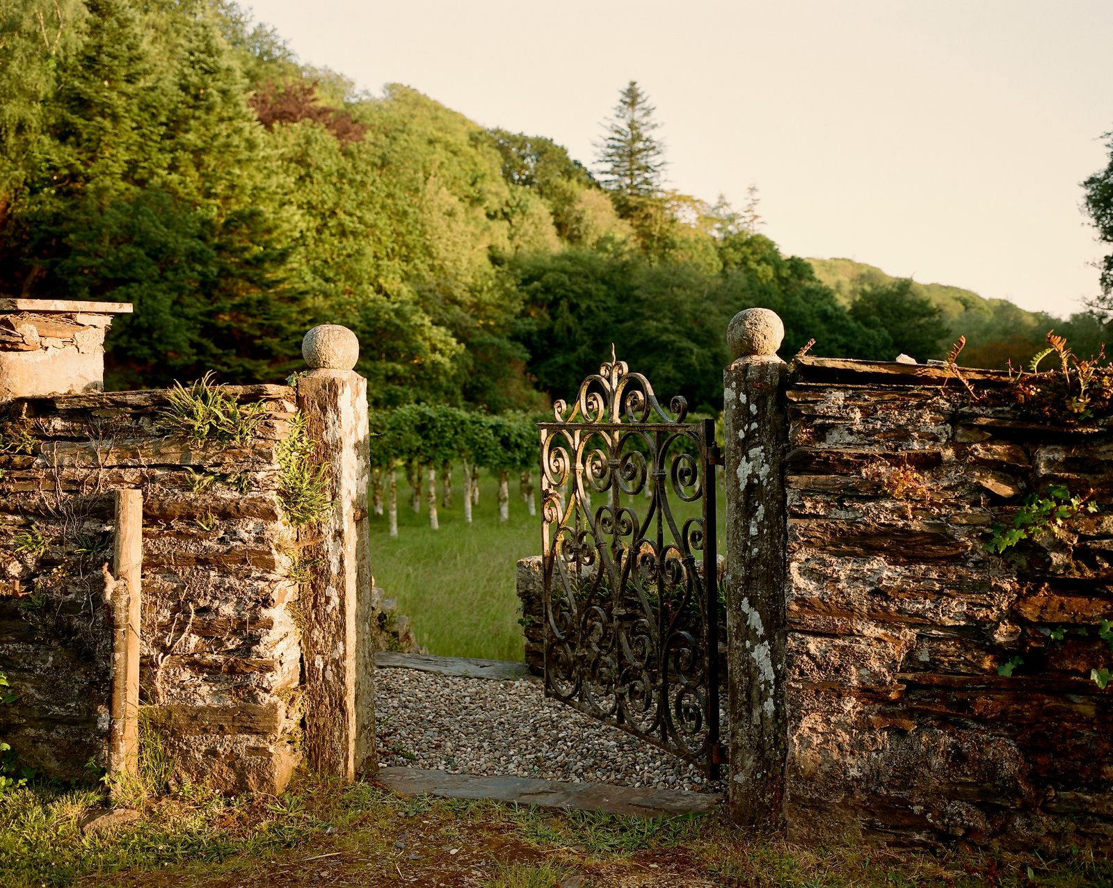 Image may contain Outdoors Graveyard and Nature