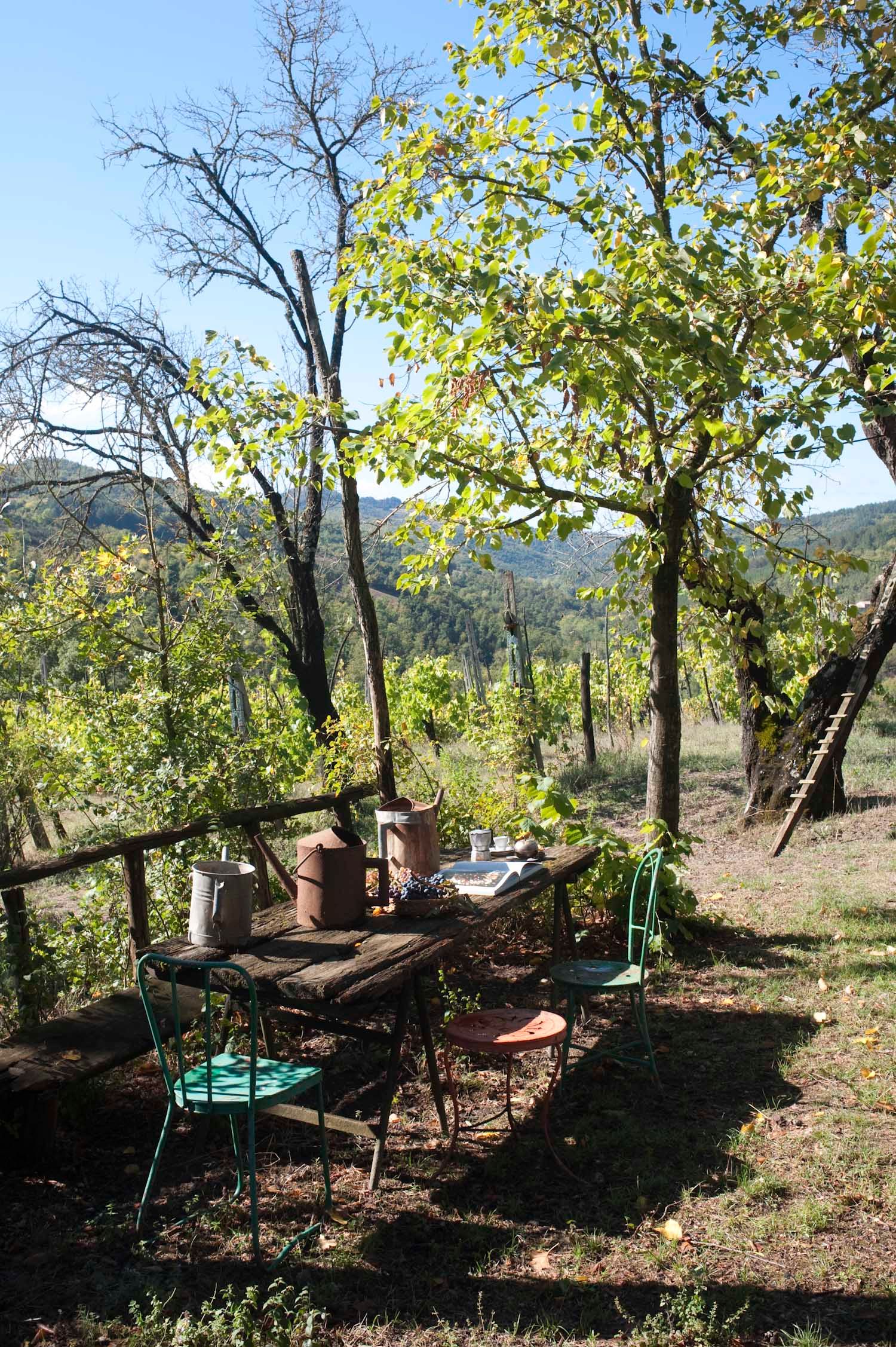 Image may contain Nature Outdoors Countryside Chair Furniture Scenery Desk Table Rural Plant Vegetation and Farm