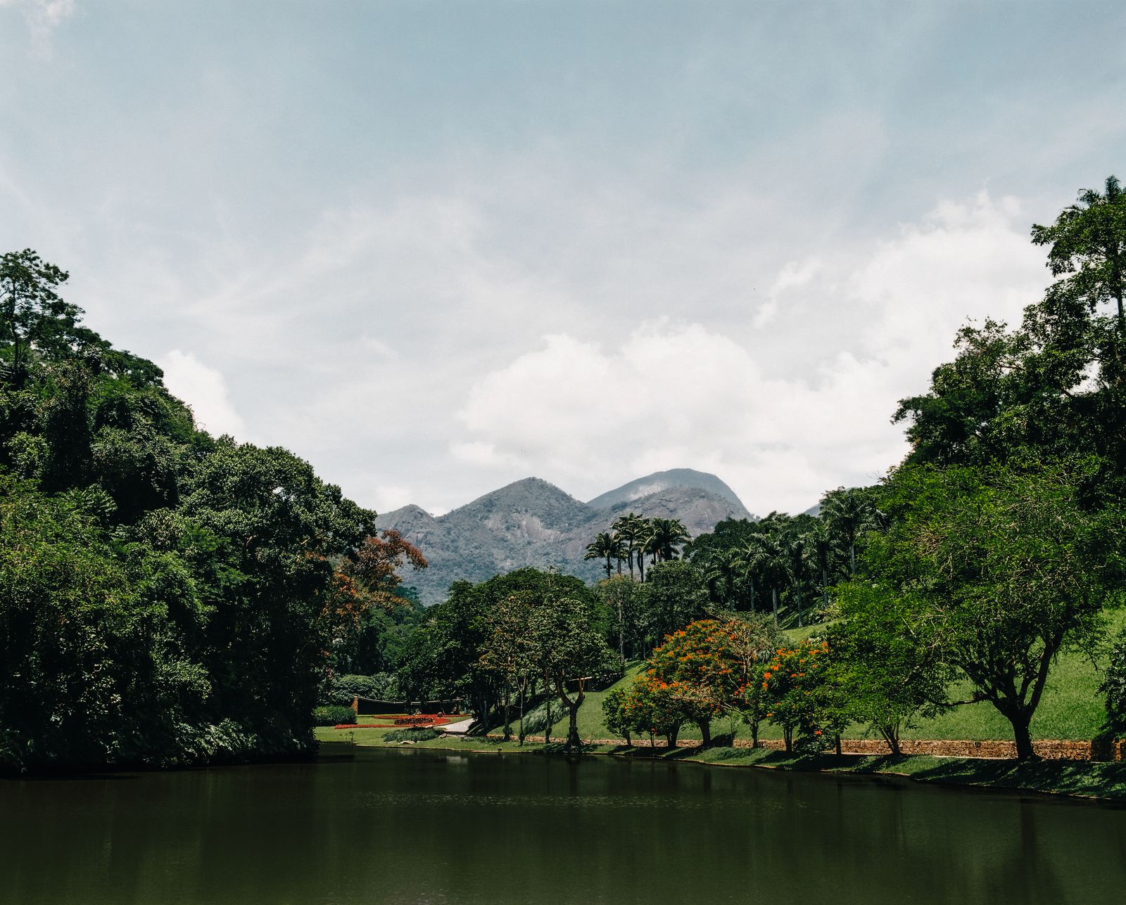 Image may contain Plant Vegetation Land Nature Outdoors Rainforest Tree Scenery Grass Landscape Green and Park