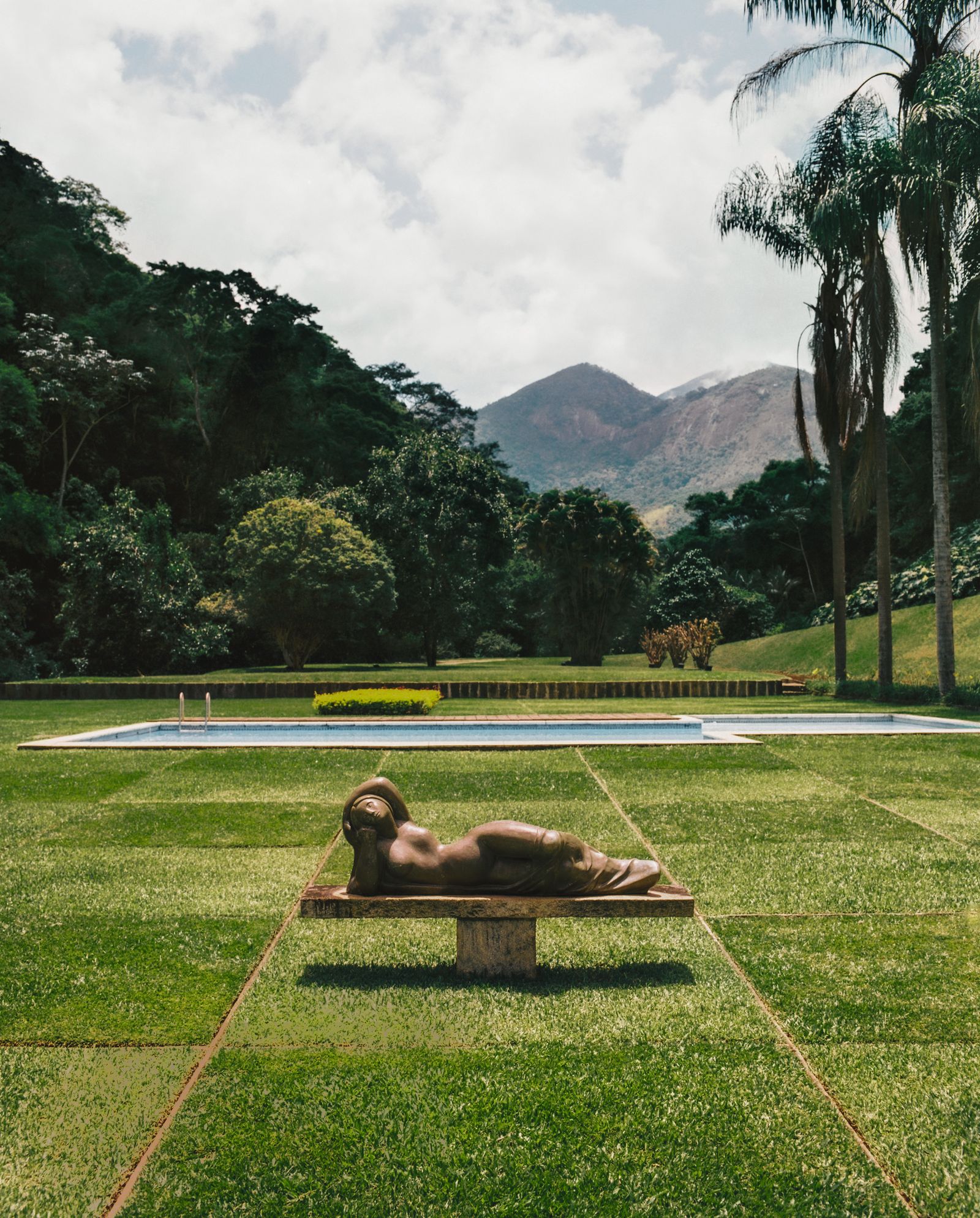 Image may contain Grass Plant Nature Outdoors Park Vegetation Summer Tree Person Land Rainforest Pool and Water