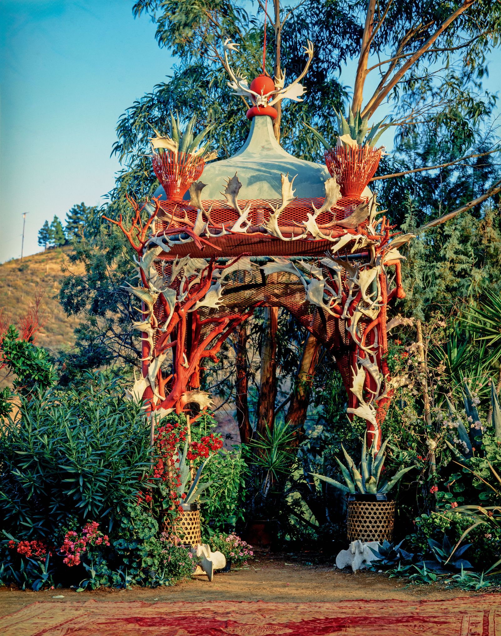 Image may contain Outdoors Plant Duquette Garden and Nature