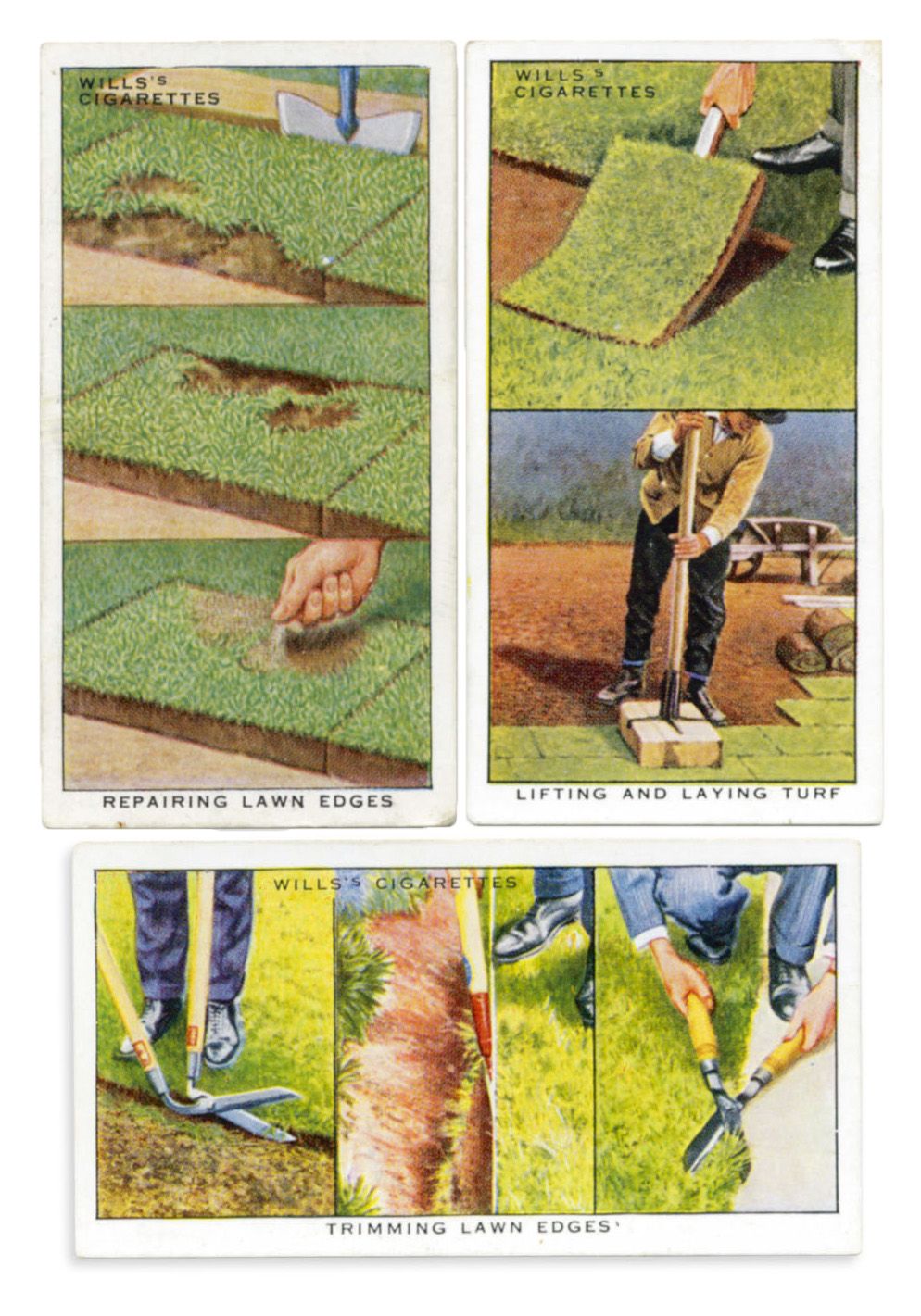 Will's cigarette cards of ‘Garden Hints from 1938