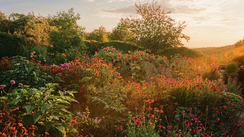 A bucolic cutting garden deep in East Sussex