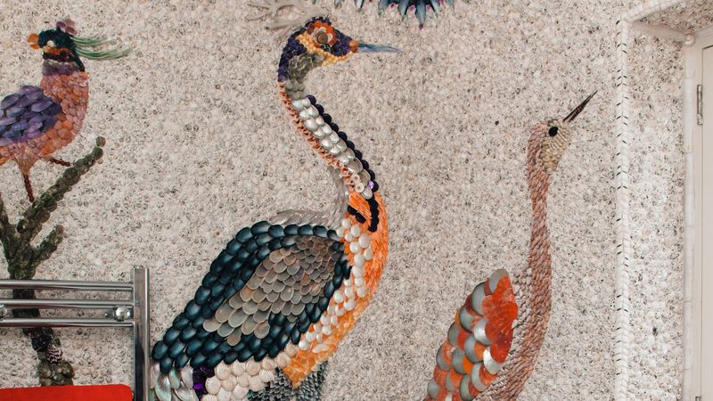 Blott Kerr-Wilson seeks seashells for her bathroom wall