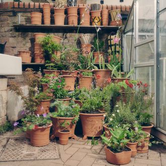 Aaron Angell’s Hoxton Gardenware