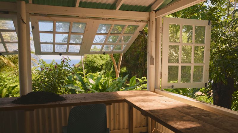 Seeds of change: how horticulture is going back to its roots on one Caribbean island