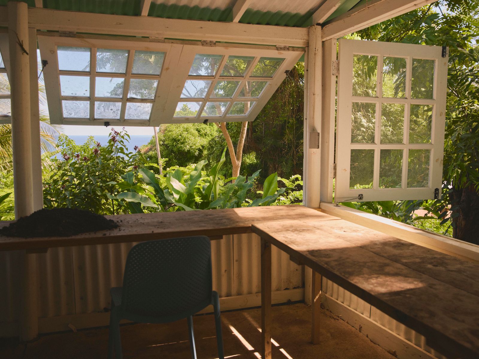 Seeds of change: how horticulture is going back to its roots on one Caribbean island
