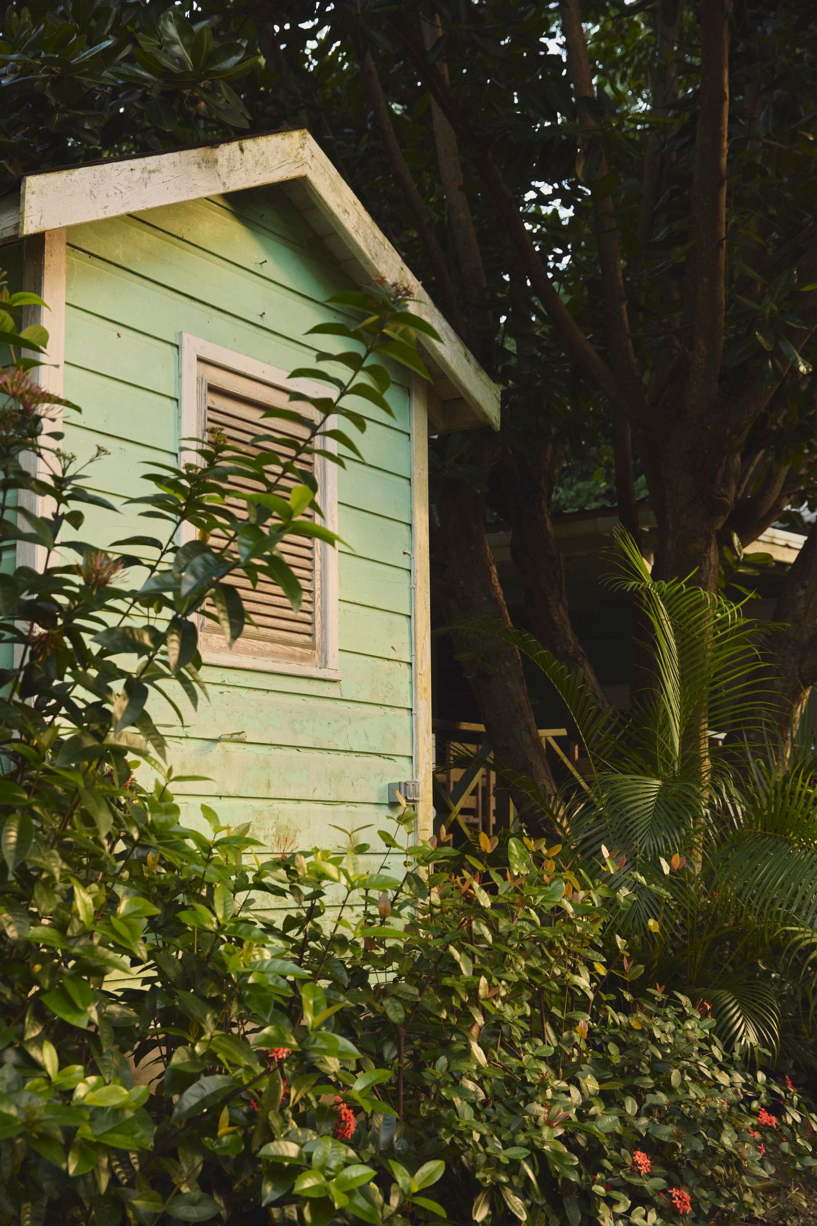 Image may contain Architecture Building Outdoors Shelter Countryside Hut Nature Rural Plant Vegetation and Herbal