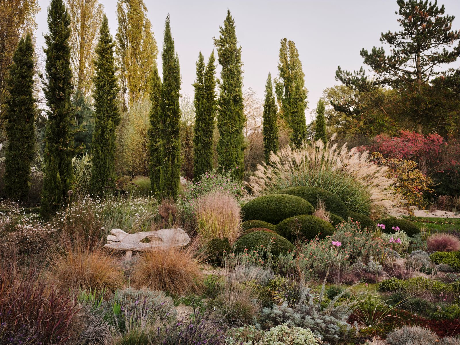 Image may contain Plant Vegetation Tree Grass Land Nature Outdoors Woodland Park Garden Fir and Landscape