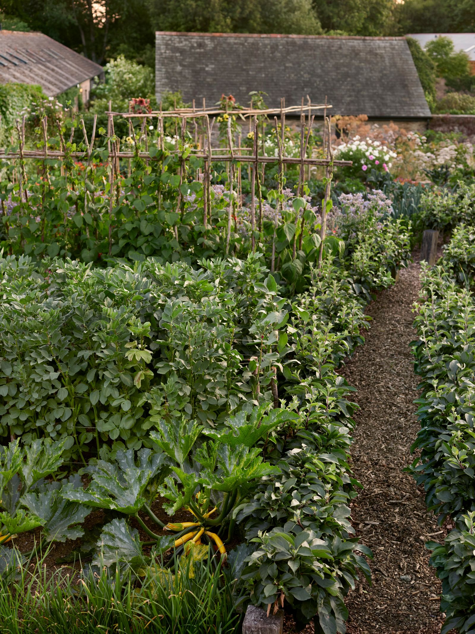Image may contain Garden Nature Outdoors Herbal Herbs Plant Vegetation Backyard Yard and Gardening