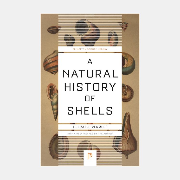 Image may contain Advertisement Poster Animal Invertebrate Sea Life and Seashell