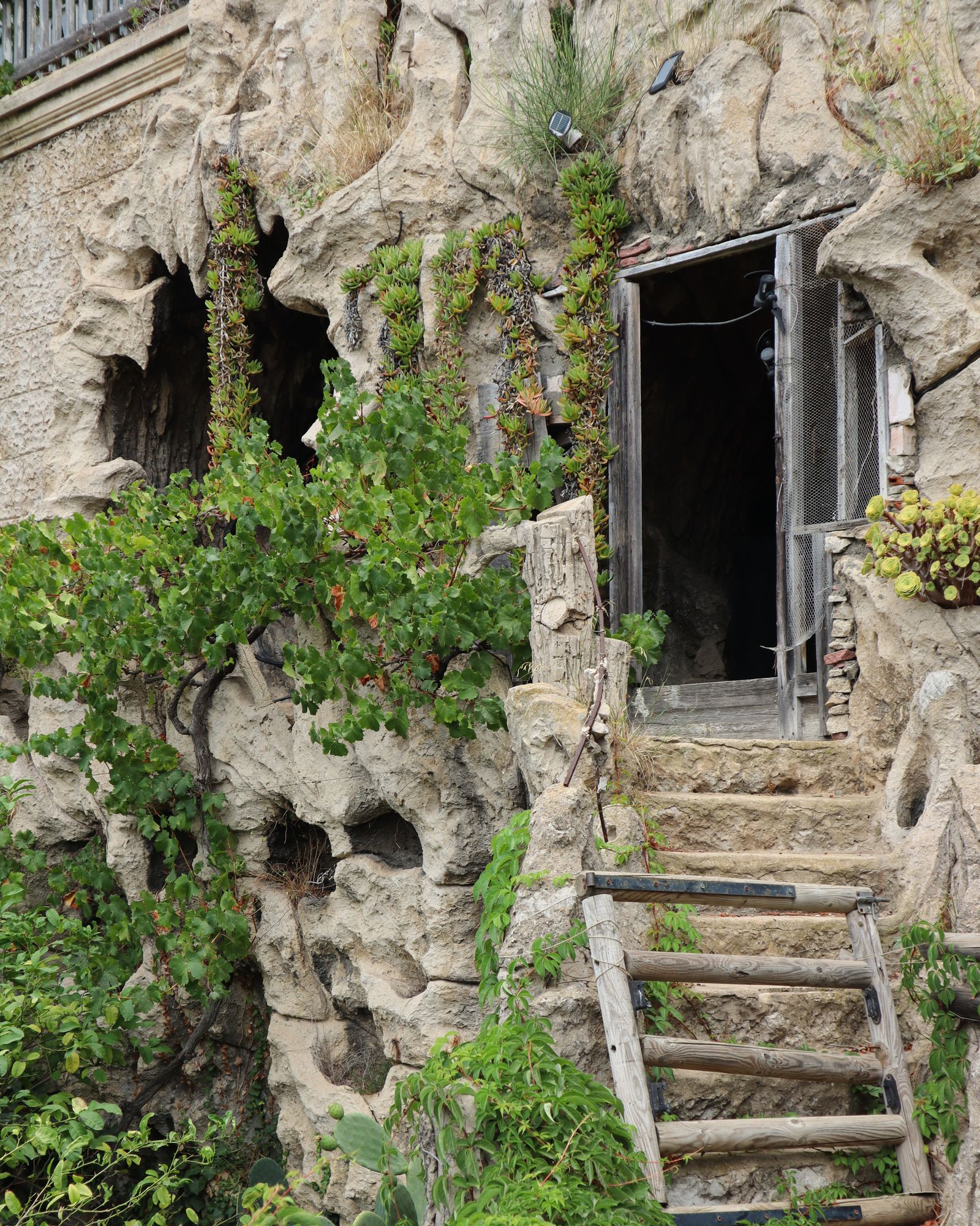 Image may contain Rock Architecture Building Outdoors Shelter Nature Bunker Ruins Animal and Bird