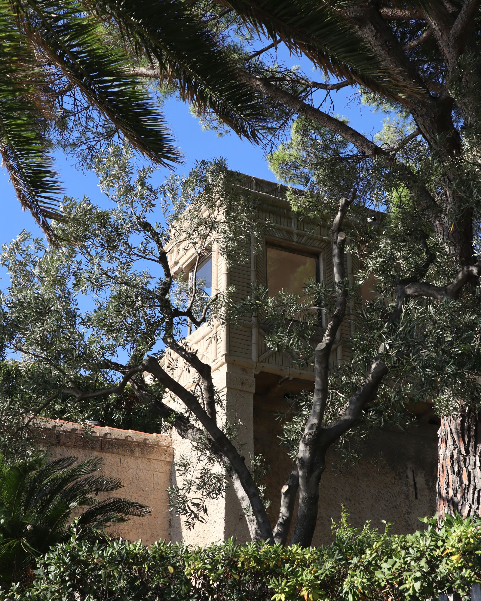 Image may contain Architecture Building House Housing Villa Plant Tree Vegetation Monastery and Tree Trunk