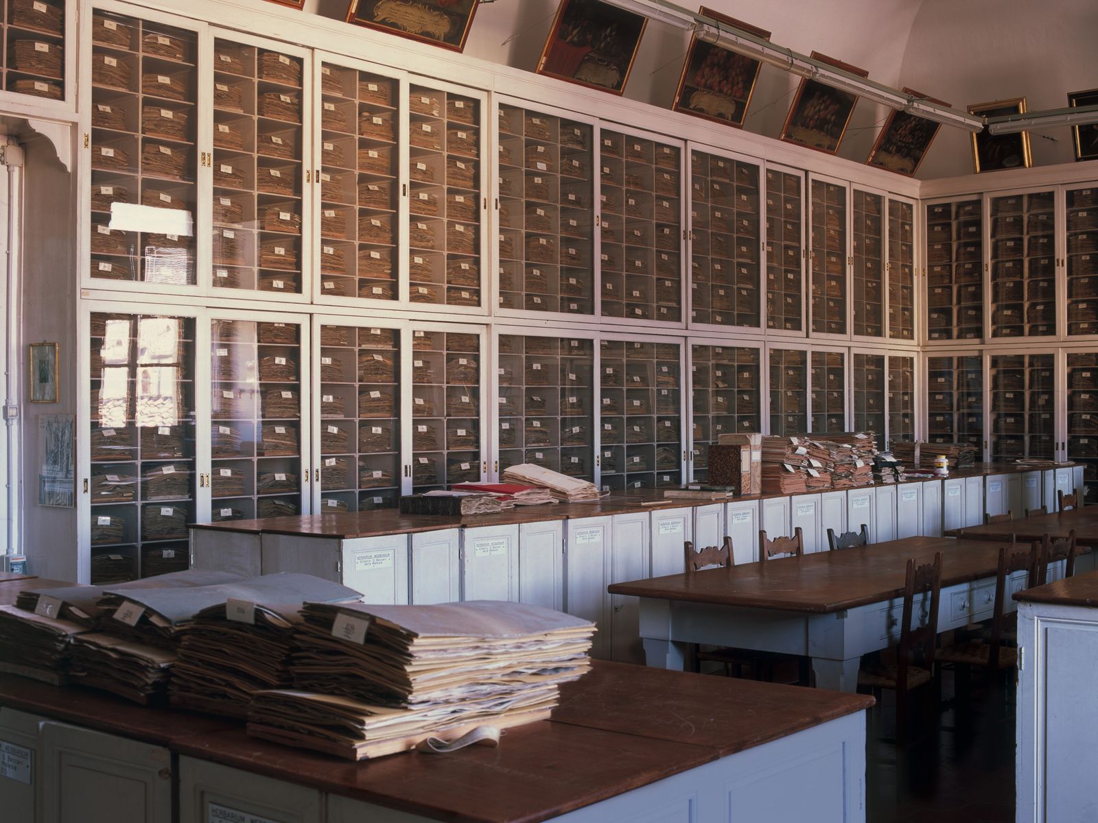 Florence’s botanical museum sows the seeds of horticultural history