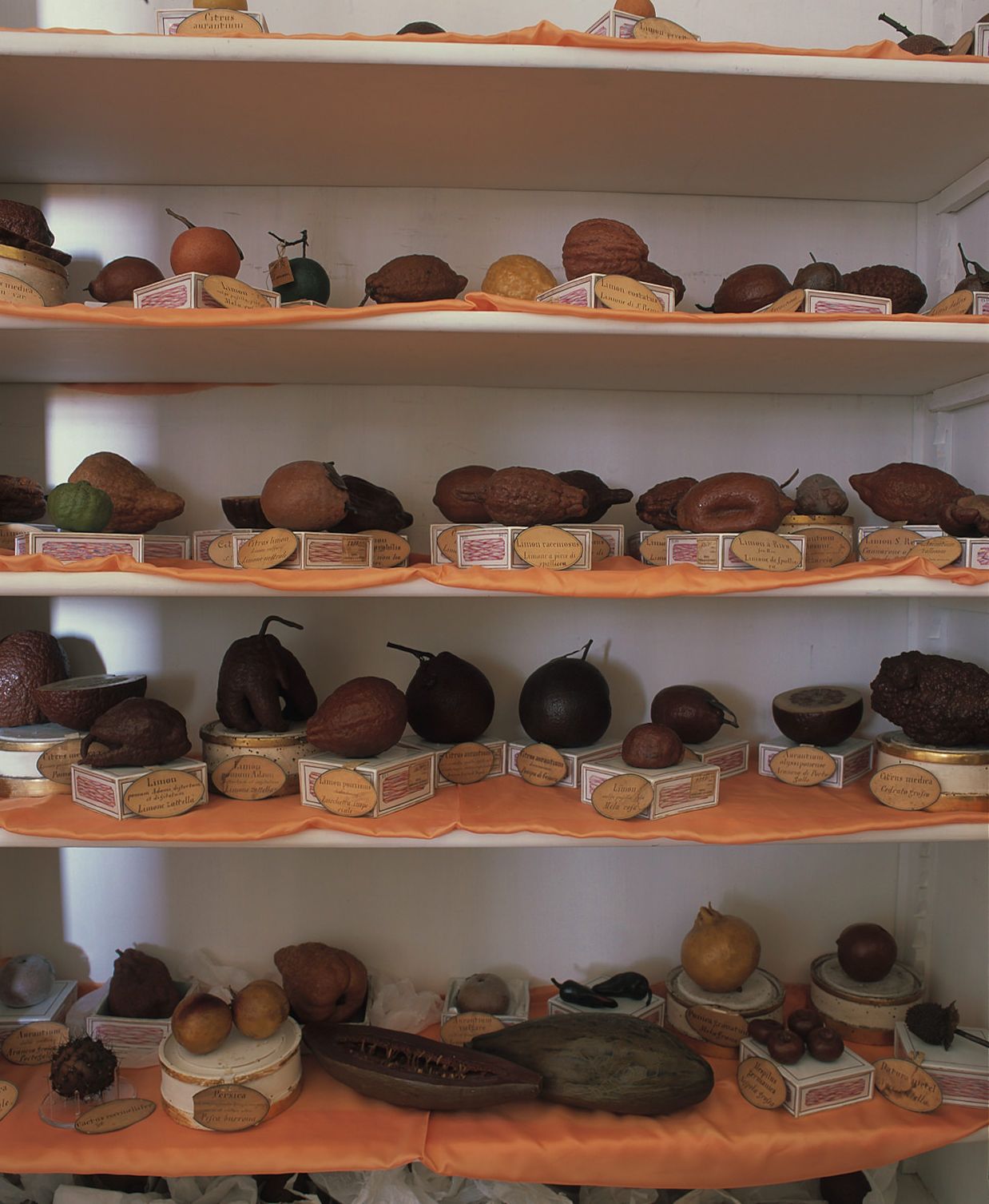 Image may contain Shelf Pottery Bread Food Clothing Glove Box and Wood