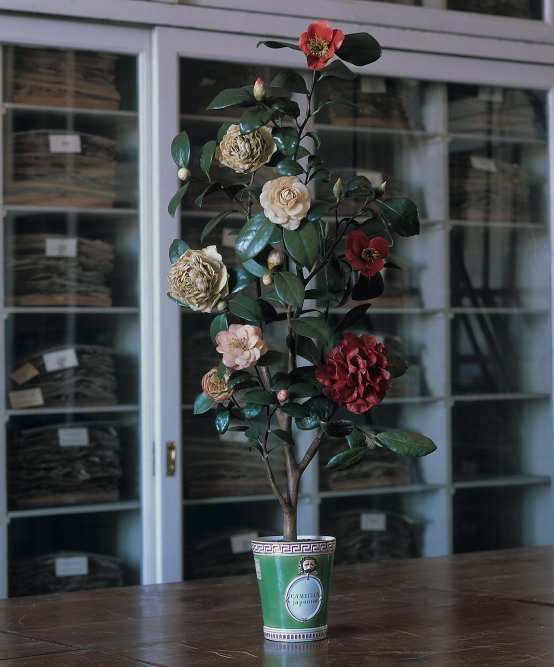 Image may contain Flower Plant Rose Flower Arrangement Flower Bouquet Potted Plant Desk Furniture Table and Wood