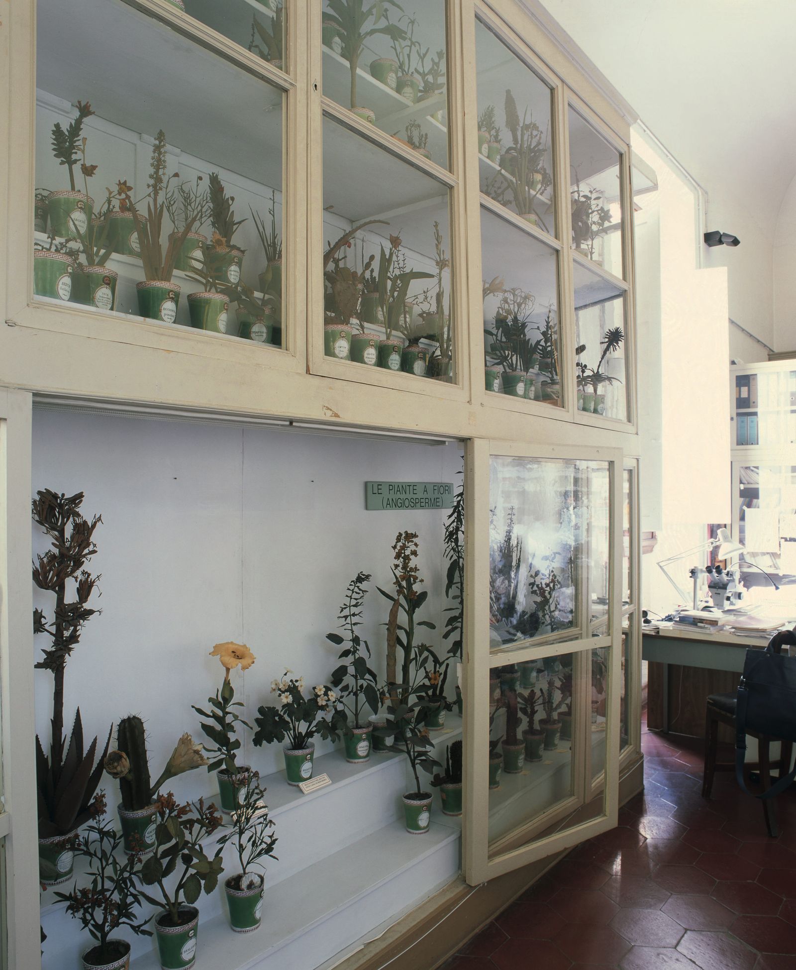 Image may contain Plant Potted Plant Accessories Bag Handbag Furniture Indoors Interior Design Lamp and Cabinet