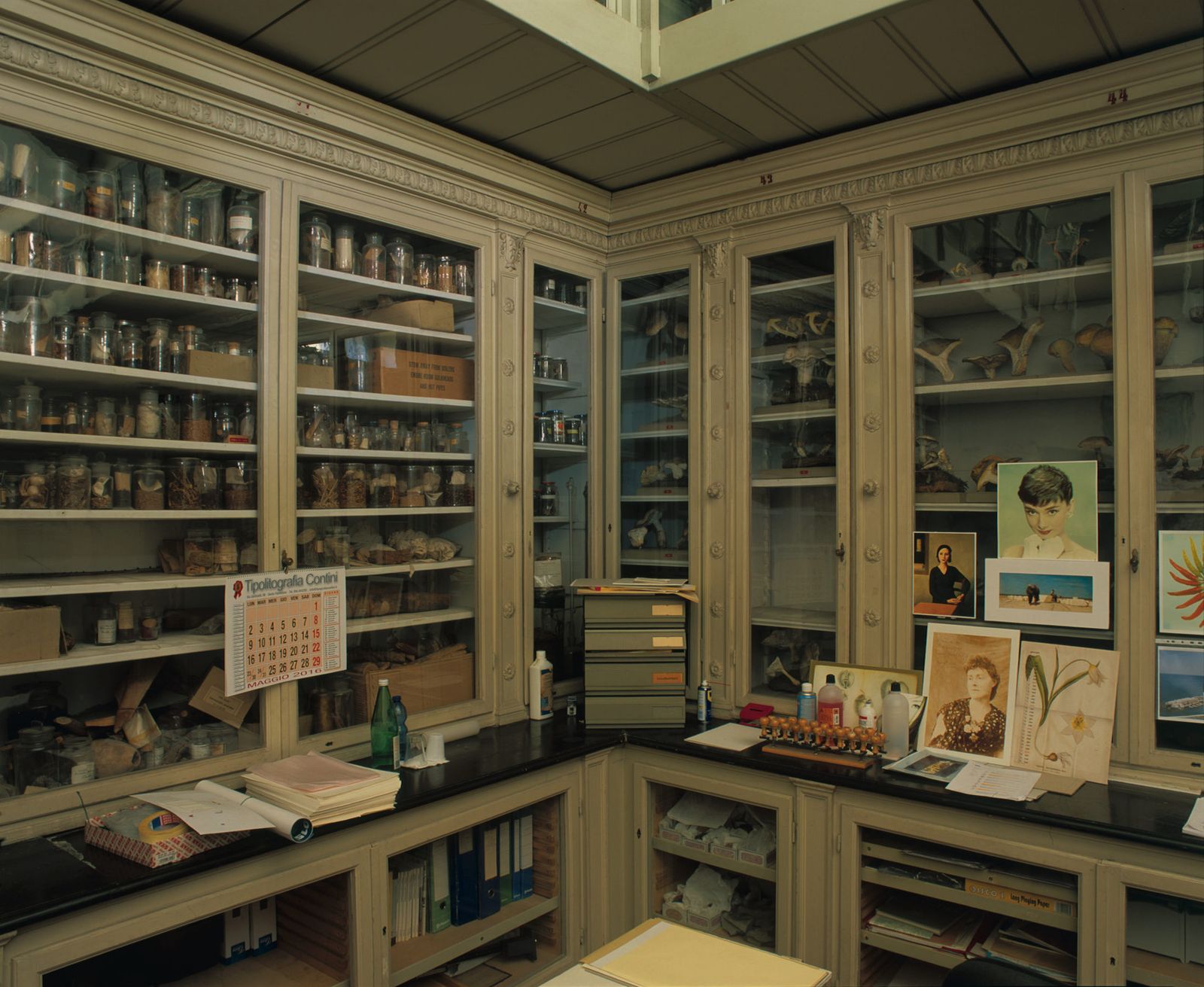 Image may contain Audrey Hepburn Marianne von Werefkin Shelf Person Furniture Indoors Pantry and Box