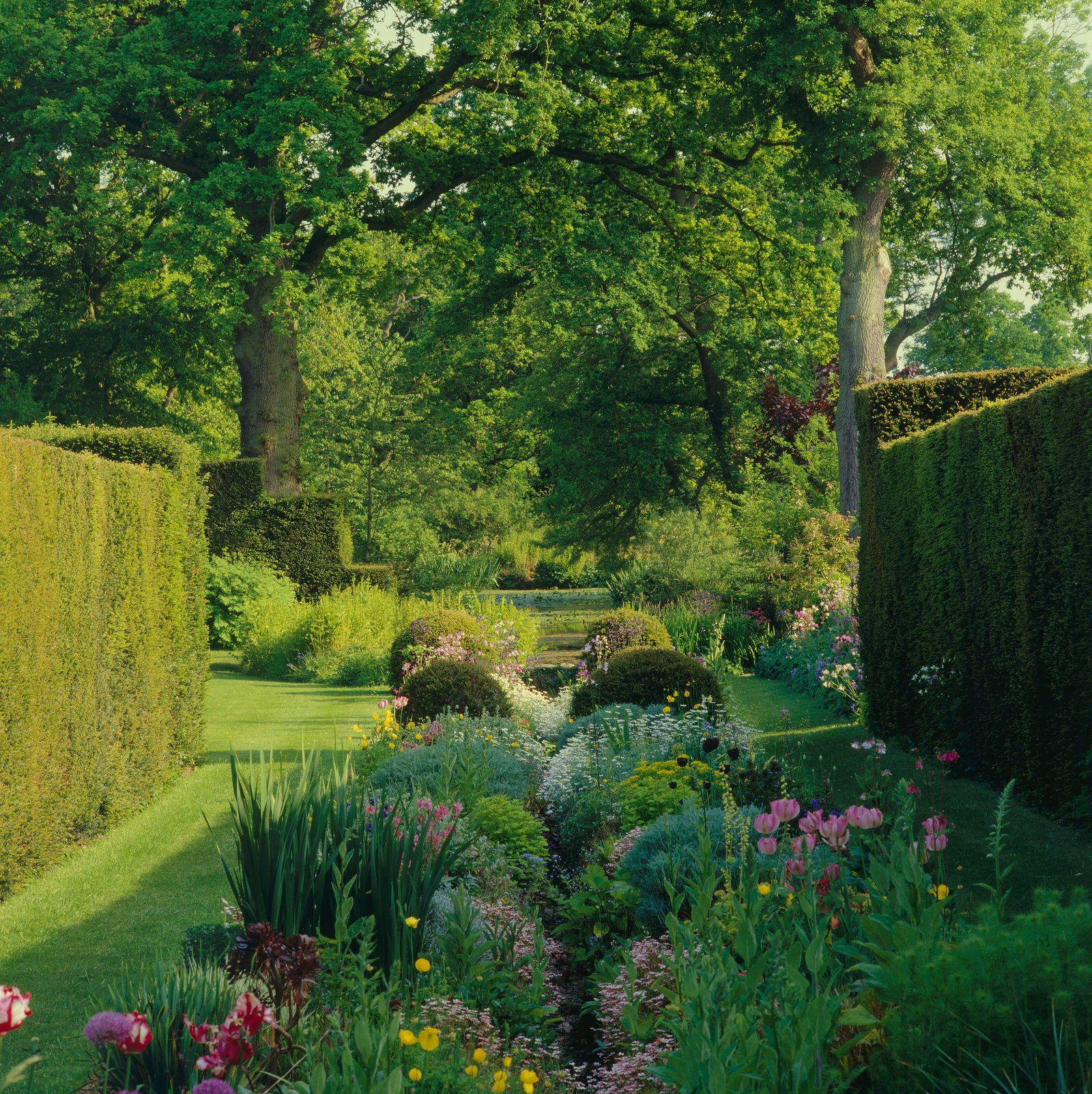 Vann garden in Surrey in full bloom
