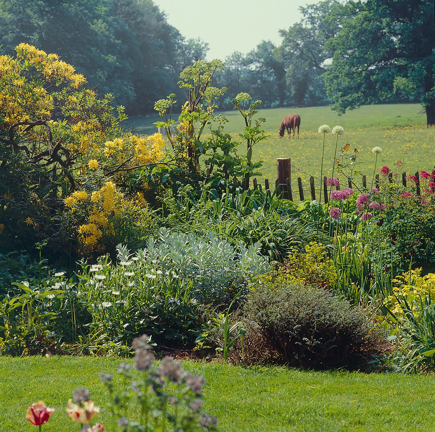 Vann garden Surrey