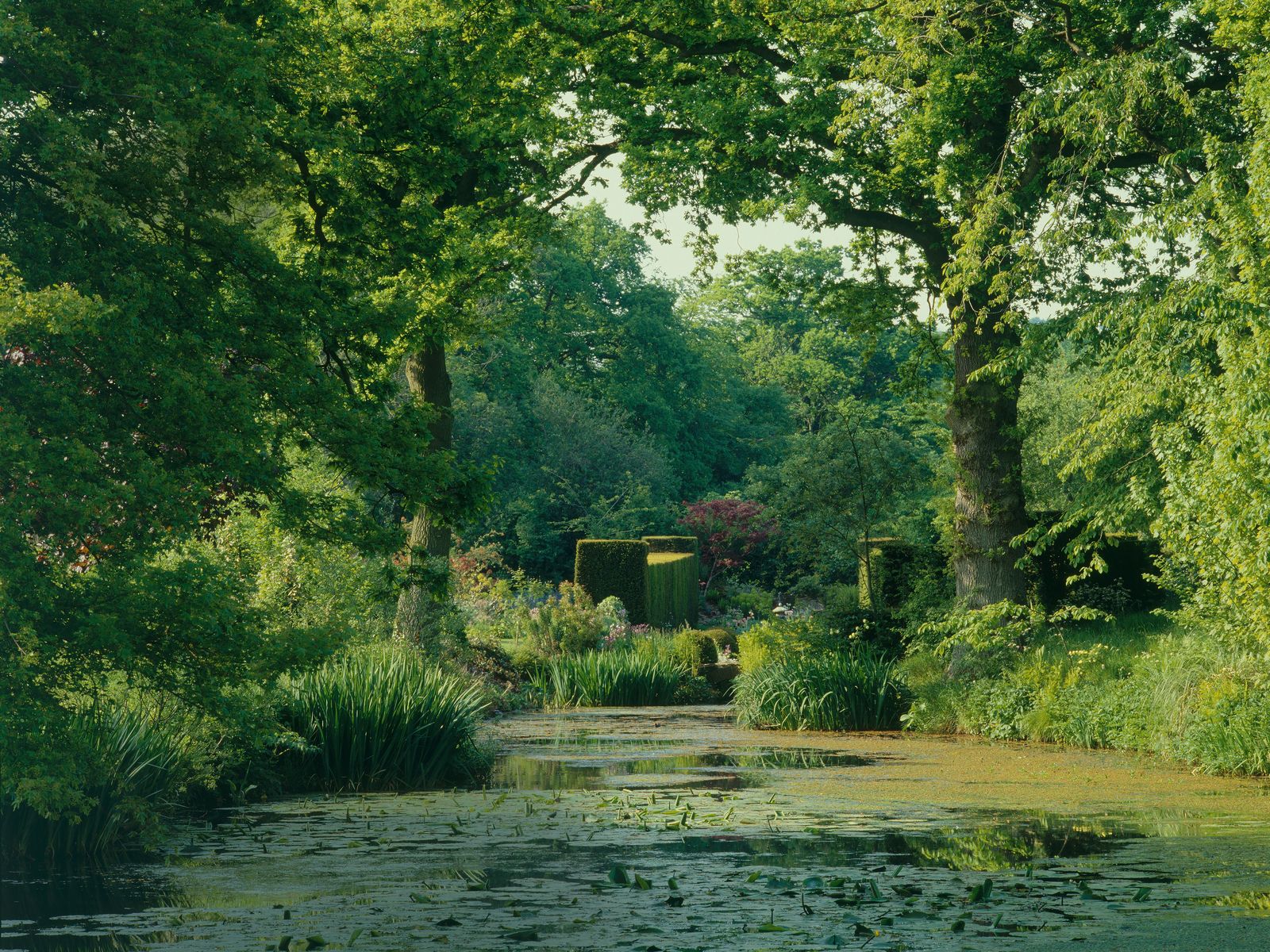 From the archive: Gertrude Jekyll garden at Vann