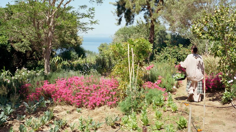Artist Yto Barrada’s transformed summerhouse in Tangier