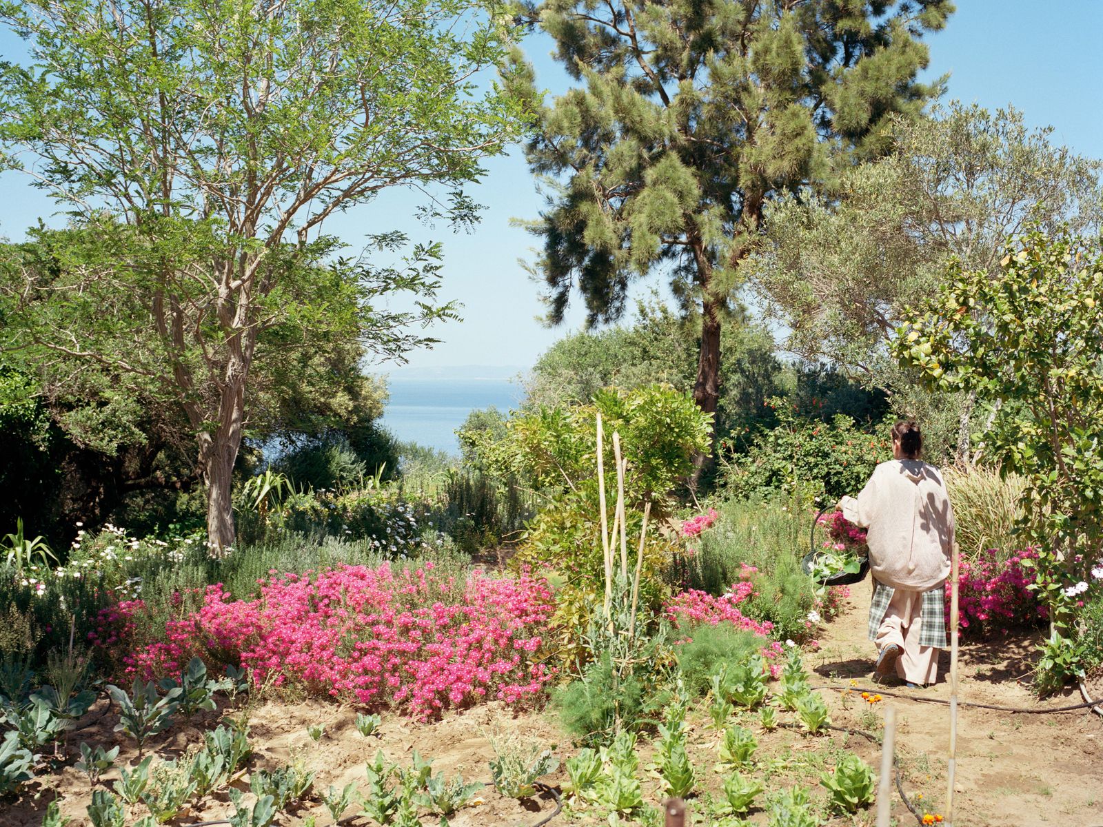 Artist Yto Barrada’s transformed summerhouse in Tangier